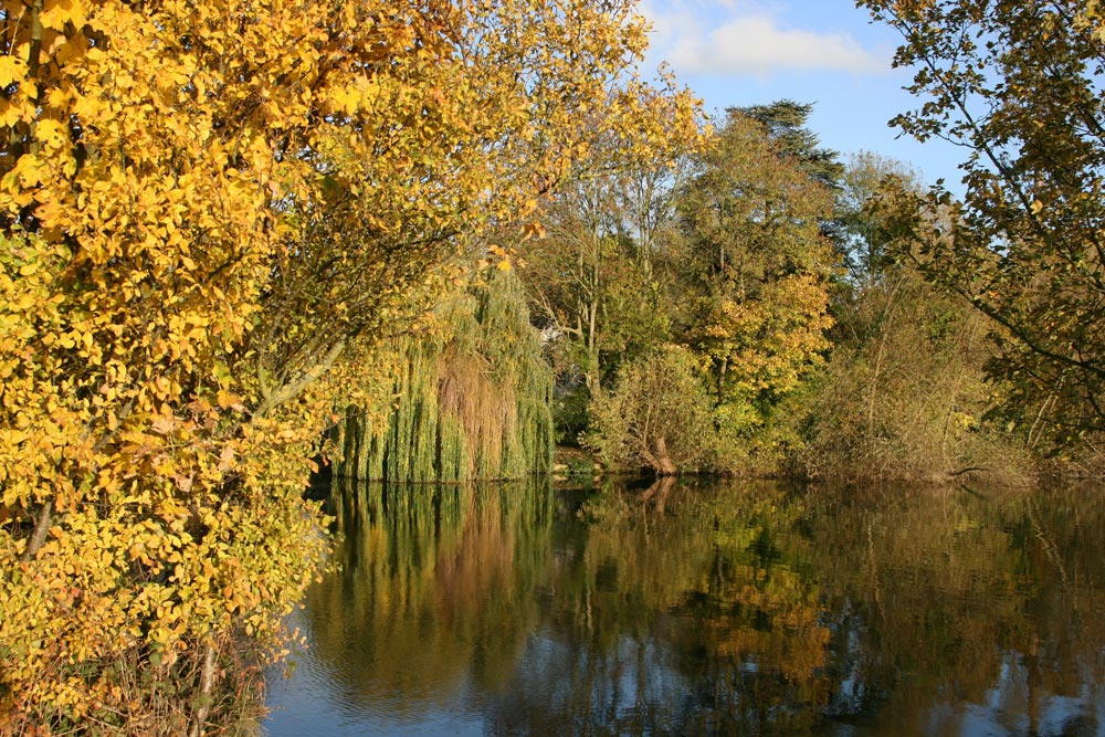 River Thames and Magna Carta Island, Runnymede - Beautiful England Photos