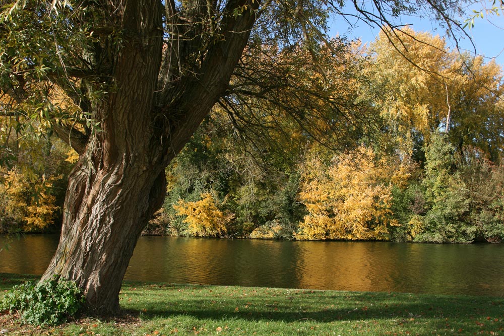 River Thames, Runnymede - Beautiful England Photos